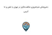 10 دامپزشکی شبانه‌روزی شگفت‌انگیز در تهران با تلفن و آدرس