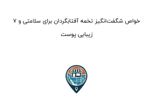 ۷ خواص شگفت‌انگیز تخمه آفتابگردان برای سلامتی و زیبایی پوست