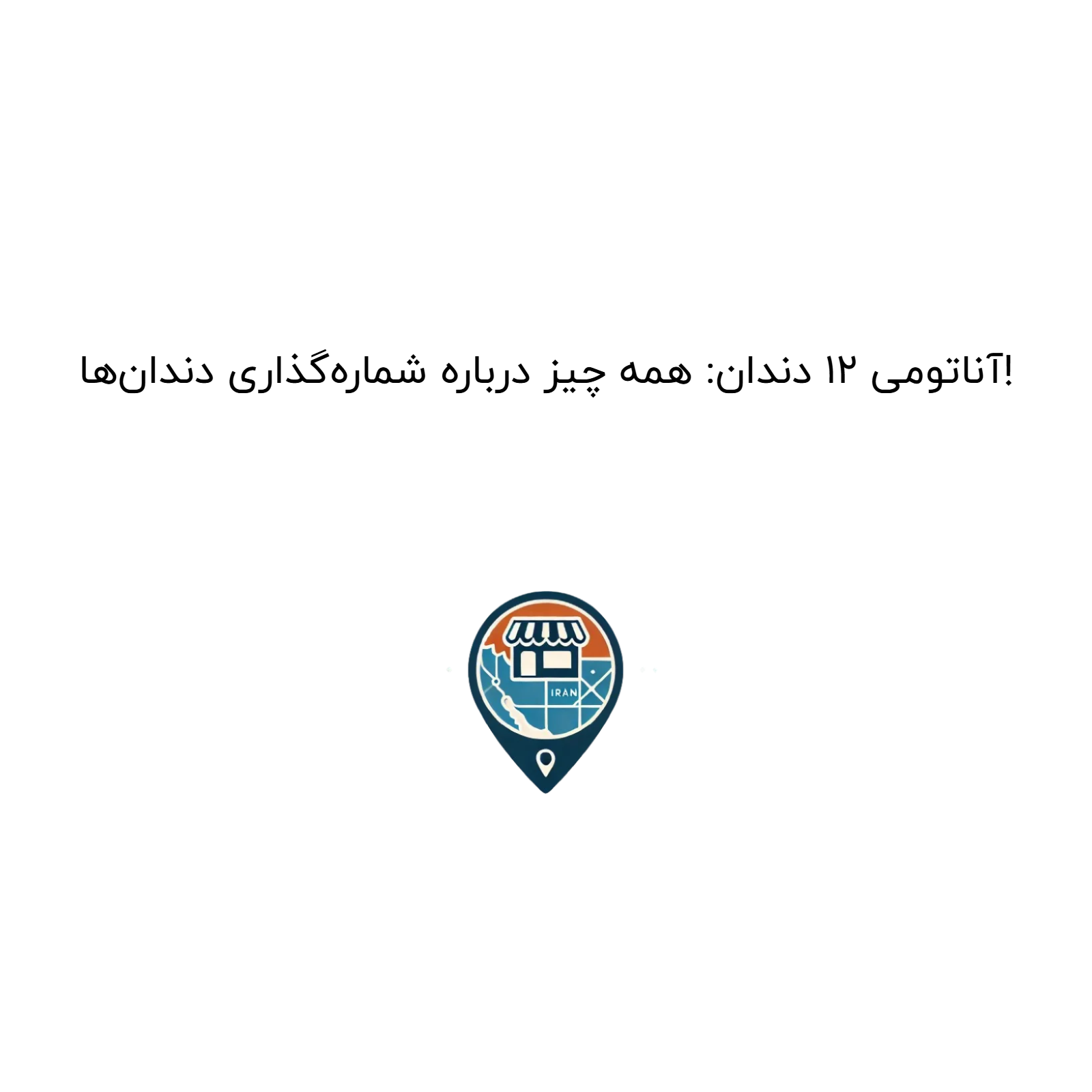 آناتومی ۱۲ دندان: همه چیز درباره شماره‌گذاری دندان‌ها!