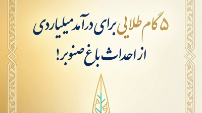 ۵ گام طلایی برای درآمد میلیاردی از احداث باغ صنوبر!